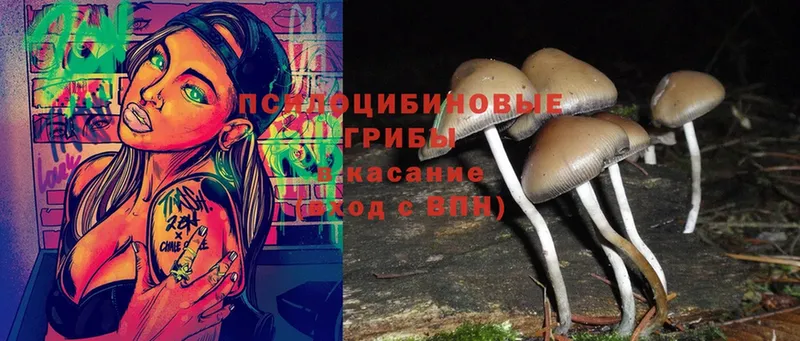 Галлюциногенные грибы Magic Shrooms  ОМГ ОМГ зеркало  Артёмовский 